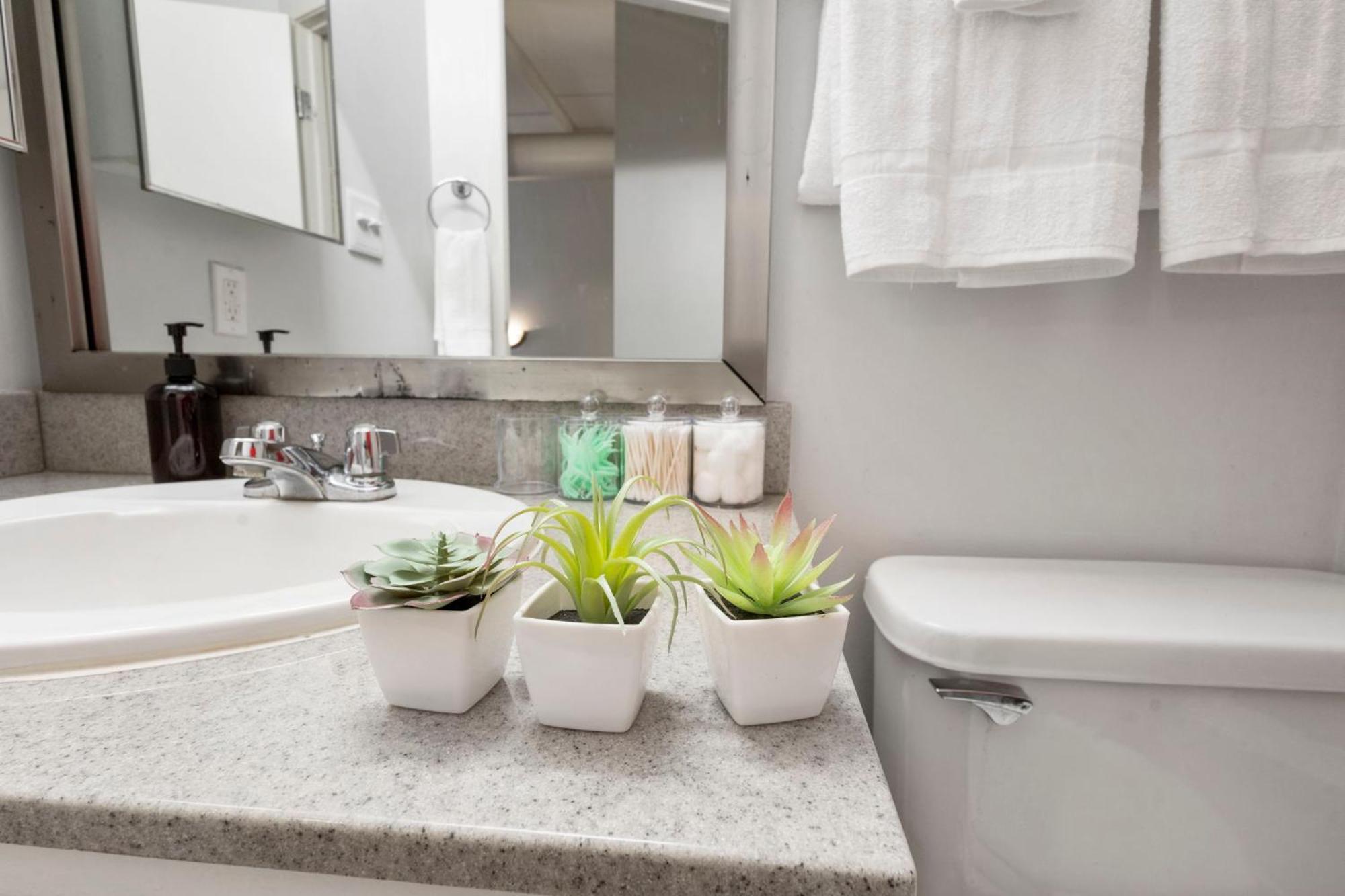 인디애나폴리스 Indy Loft - Monument Circle - Sleeps 7 - Convention Walkable 아파트 외부 사진